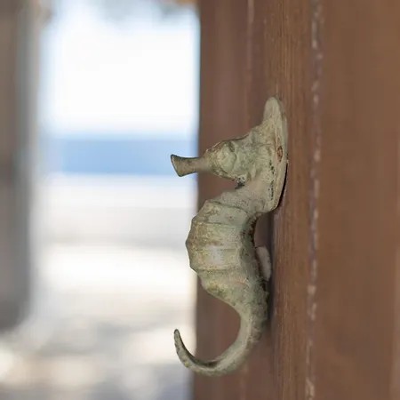 Blue Moon Mykonos Homes 公寓 Mykonos Town